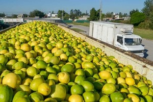 ELLITORAL_352971 |  Imagen Ilustrativa