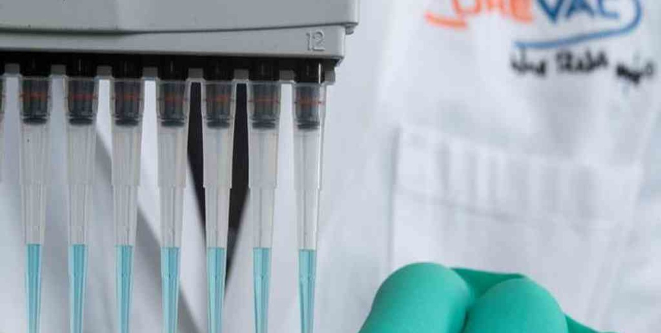 Bayer y CureVac se unen para desarrollar una vacuna contra el Covid-19