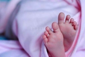 ELLITORAL_362112 |  Imagen Ilustrativa