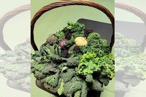 ELLITORAL_353989 |  IG Michelle Obama