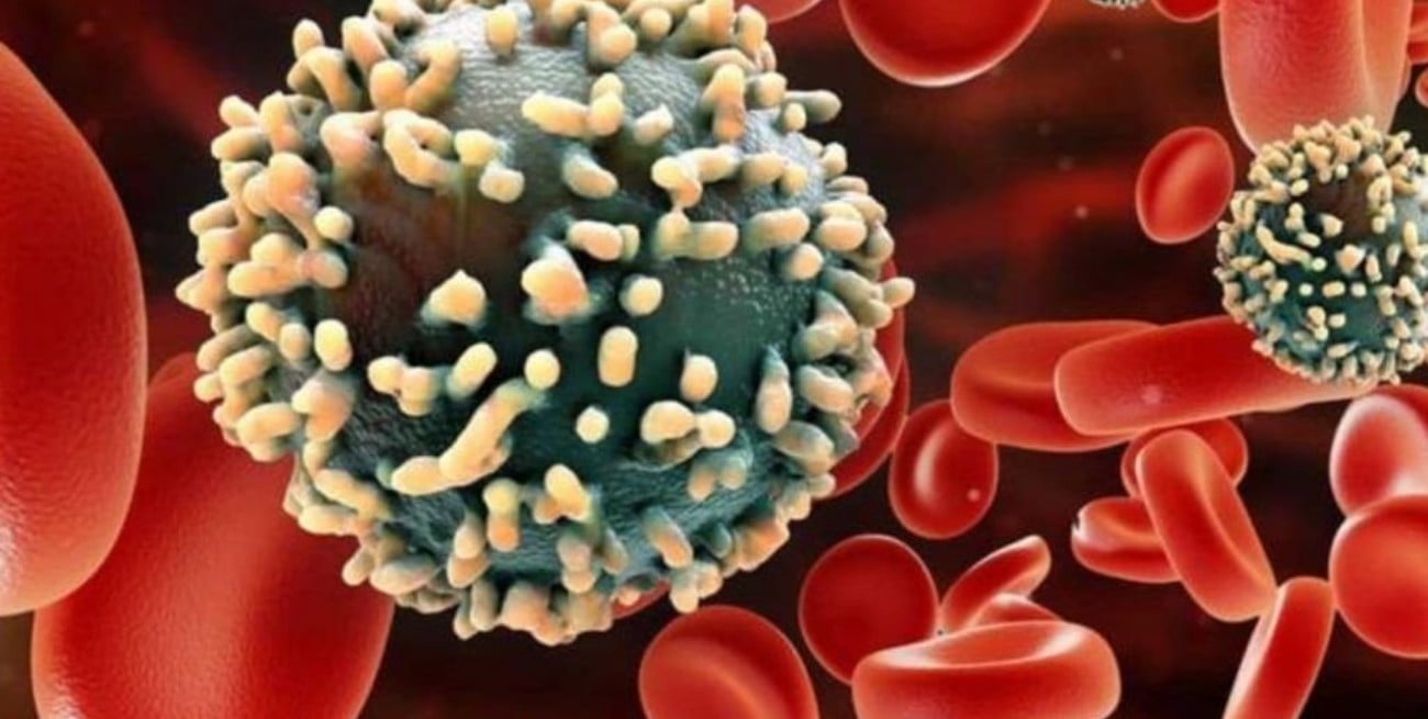 VIH: descubrieron que en los Países Bajos circula la variante VB  