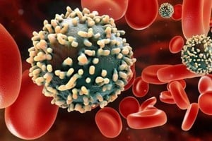 ELLITORAL_418455 |  Gentileza