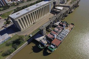 ELLITORAL_346849 |  Gentileza