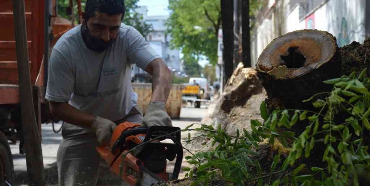 Cuadrillas municipales aceleran tareas de desmalezado y limpieza en los barrios