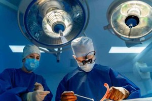 Imagen Ilustrativa D.R