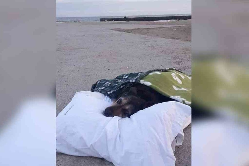 ELLITORAL_423376 | Gentileza Facebook D.R