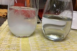 Archivo Así lucía el agua que llegó a la casa de vecinos de Candioti.