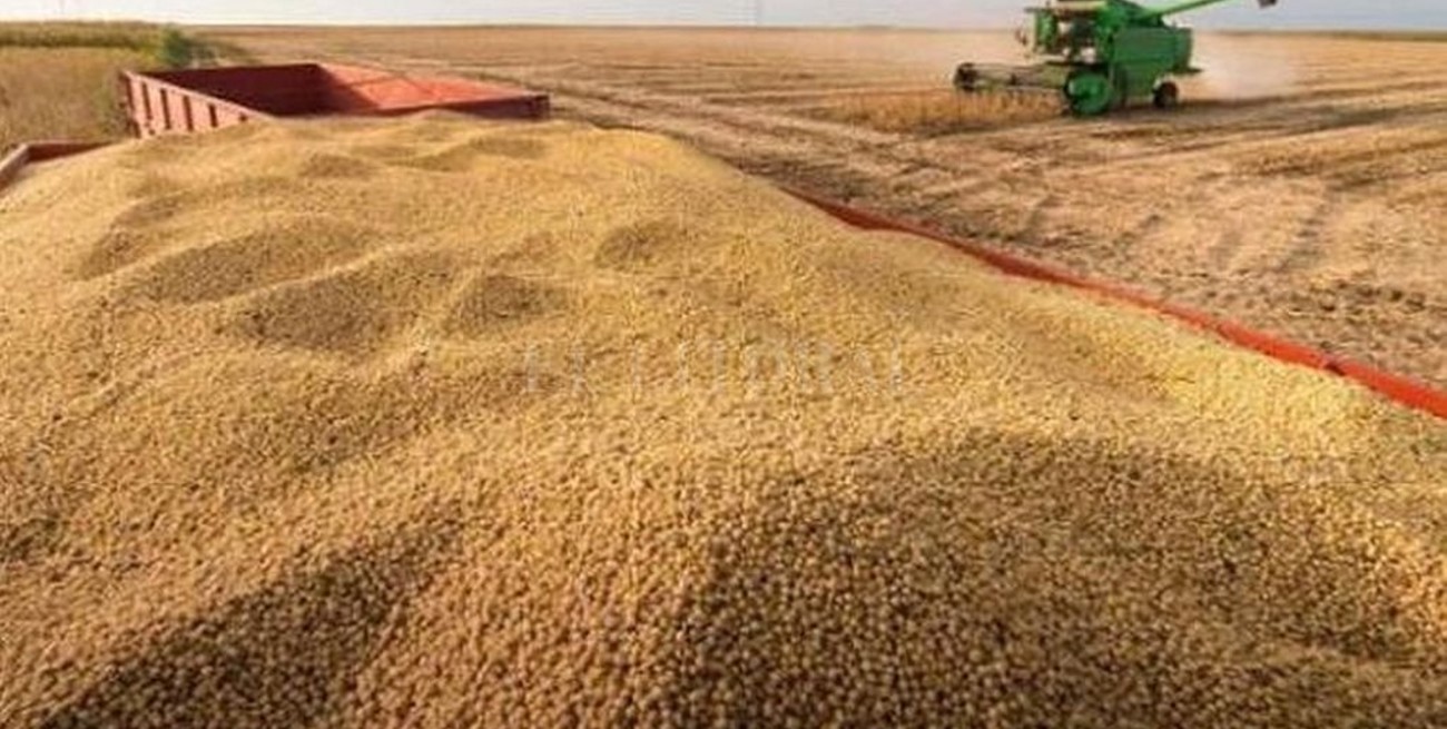 La soja cayó $ 950 hasta los $ 25.050 la tonelada