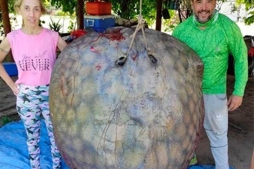 ELLITORAL_355254 |  Gentileza