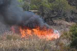 Guillermo Di Salvatore Los ecosistemas terrestres y oceánicos tienen una capacidad limitada para ayudarnos a resolver el desafío climático , observaron los científicos.