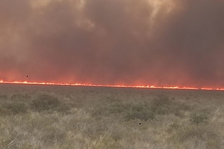 ELLITORAL_428397 |  Gentileza D.R