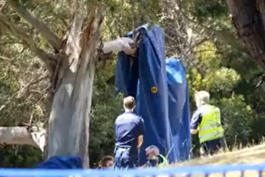 ELLITORAL_424980 |  Gentileza D.R