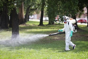 Pablo Aguirre Operarios municipales en plena tarea de fumigación.