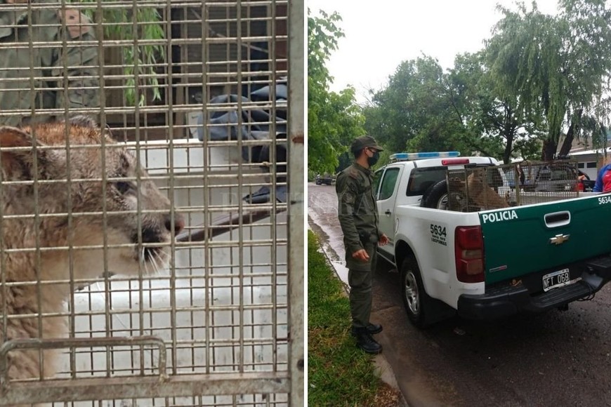 ELLITORAL_333445 |  Gentileza