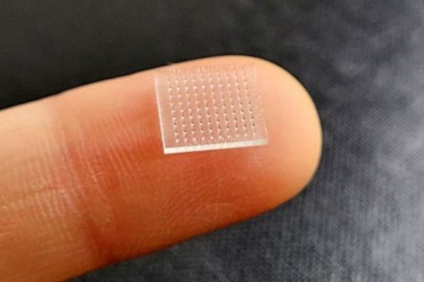 ELLITORAL_407313 |  Gentileza