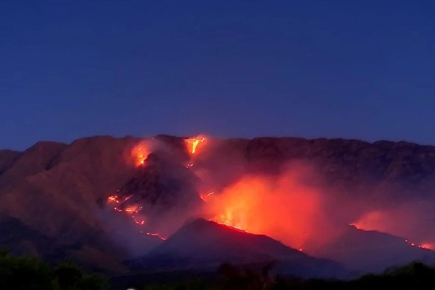 ELLITORAL_412166 |  Gentileza