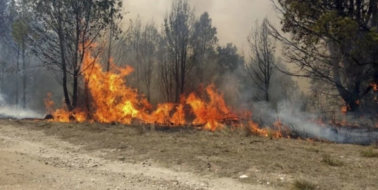 Jujuy, Entre Ríos y Corrientes registran focos activos de incendio forestales