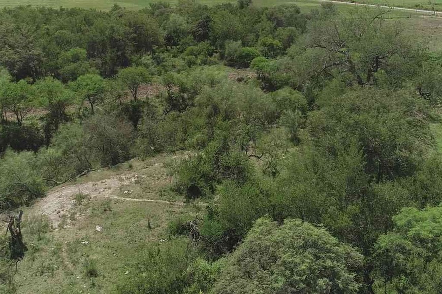 ELLITORAL_426914 |  Archivo D.R