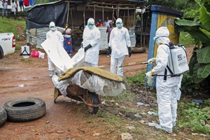 ELLITORAL_218184 |  Archivo Enfermeras desinfectando una víctima del ébola en EL 2014.
