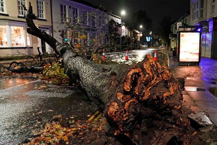 ELLITORAL_420904 |  Gentileza