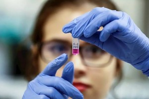 Gentileza Imagen ilustrativa.