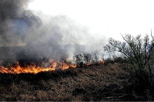 ELLITORAL_388554 |  Gentileza