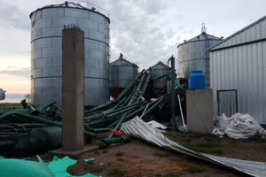 ELLITORAL_352916 |  Gentileza