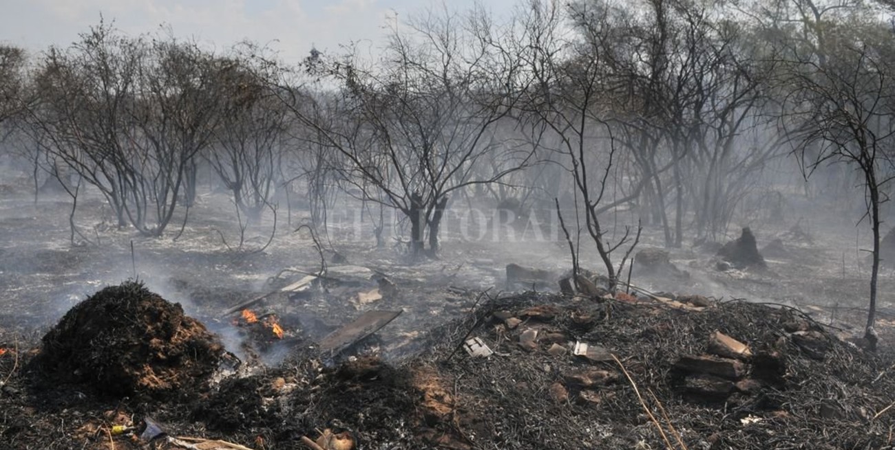 Crisis climática: durante el 2021 se quemaron 100 mil hectáreas en el Pre Delta