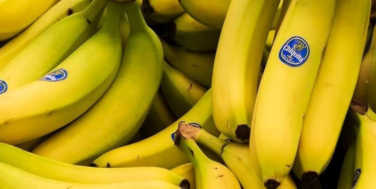 "La pandemia del banano" avanza y América Latina se suma a la alerta mundial