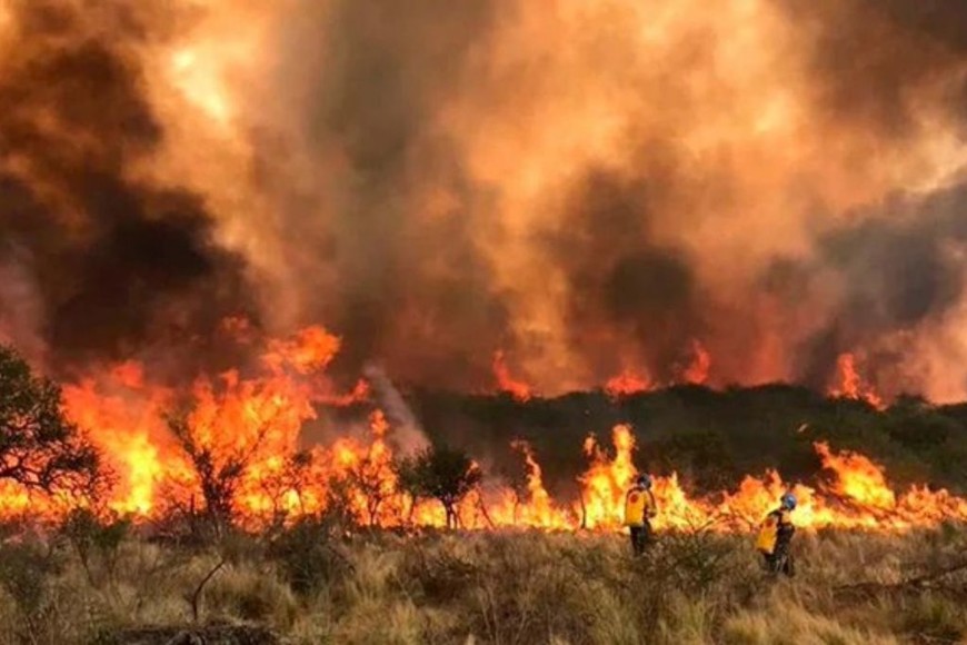 ELLITORAL_409117 |  Gentileza