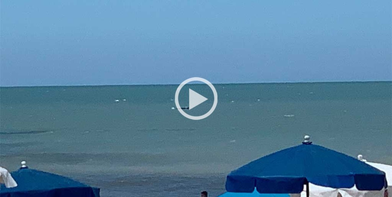 Video: ballenas jorobadas sorprenden a turistas en Pinamar, Cariló y Valeria del Mar