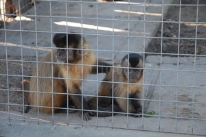 ELLITORAL_219225 |  Archivo El Litoral / Flavio Raina