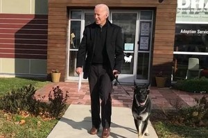 ELLITORAL_366844 |  Internet Joe y Major Biden