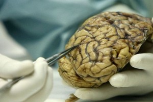 ELLITORAL_366952 |  Gentileza