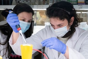 ELLITORAL_412916 |  Agencia