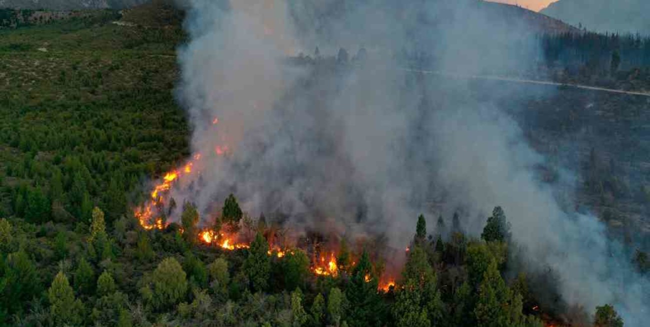 Incendios forestales: son cinco las provincias que continúan con focos activos 