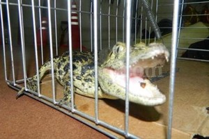 Foto de Twitter de @EmergenciasBA