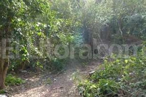 ELLITORAL_120037 |  Archivo El Litoral / Danilo Chiapello Investigan para dar con la identidad de esos restos