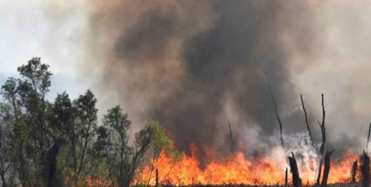 Entre Ríos vuelve a registrar focos de incendios forestales activos