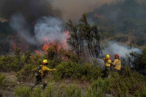 ELLITORAL_361809 |  Martinez Marcelo El Bolson 02/02/21 Incendio forestal en la zona de Cuesta del Ternero en cercanias de El Bolson. Foto: Marcelo Martinez