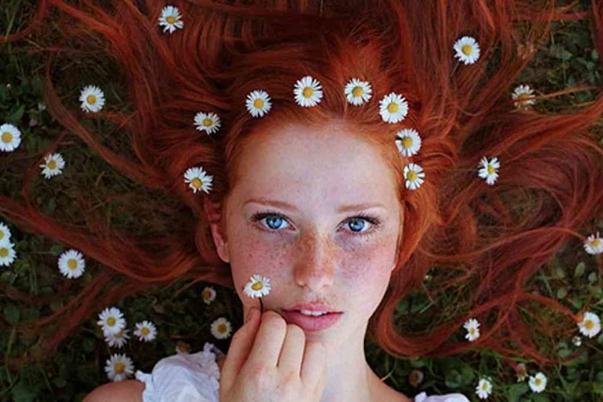 ELLITORAL_402310 |  Imagen ilustrativa