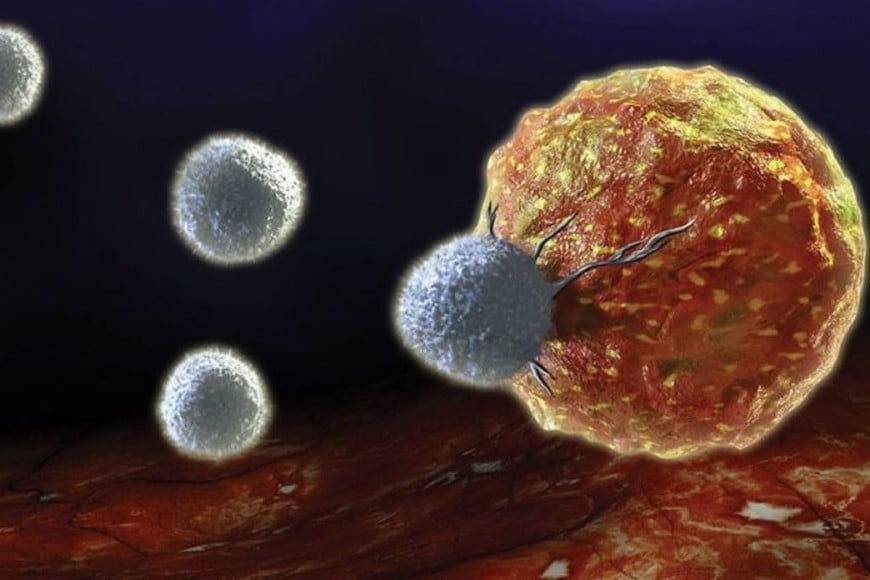 ELLITORAL_410779 |  Gentileza