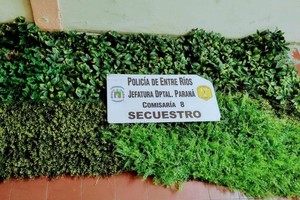 ELLITORAL_424091 |  Captura de pantalla D.R