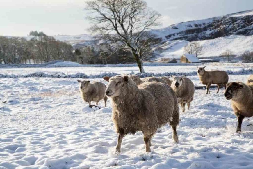 ELLITORAL_325319 |  Imagen ilustrativa