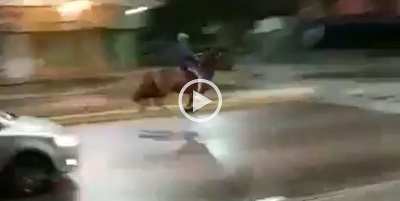 Insólito: un hombre escapó de la policía a caballo en La Plata 