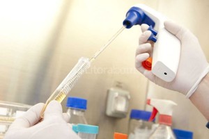 Ministerio de Ciencia, Tecnología e Innovación Productiva