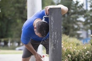 ELLITORAL_413602 |  Gentileza