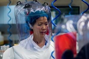 ELLITORAL_391809 |  Gentileza