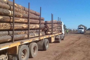 ELLITORAL_379279 |  Gentileza