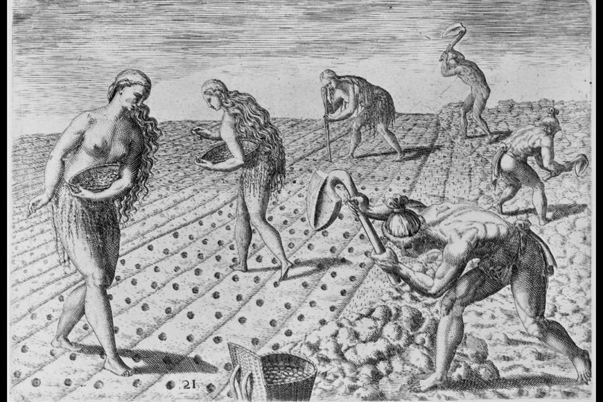 ELLITORAL_380003 |  Archivo